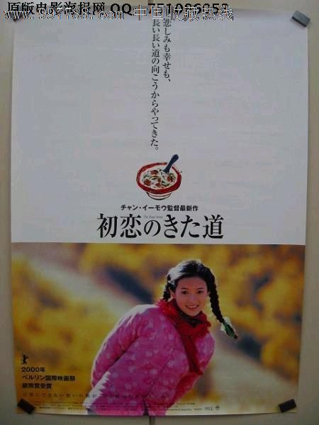 做假荷兰身份证
